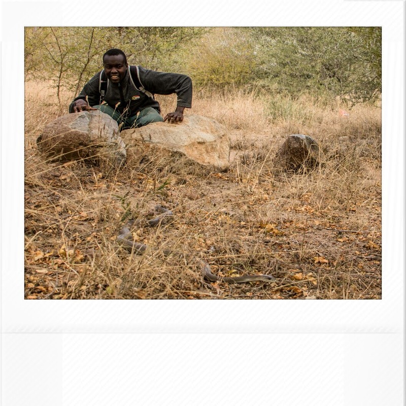 Caption